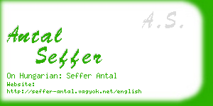 antal seffer business card
